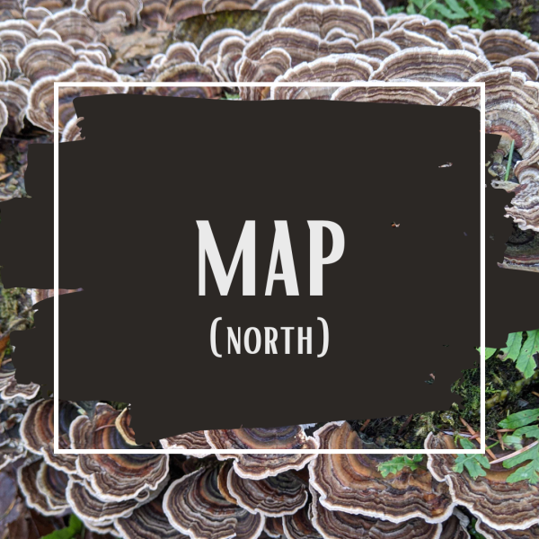 File:Map - North.png